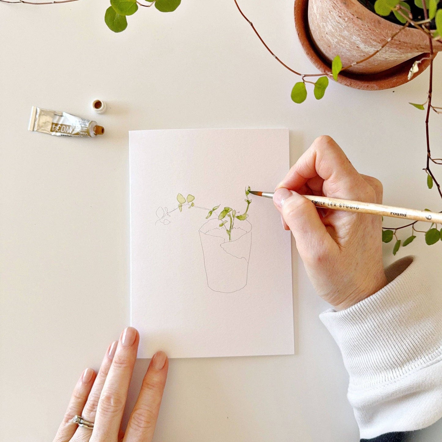 Plants Watercolor Notecards