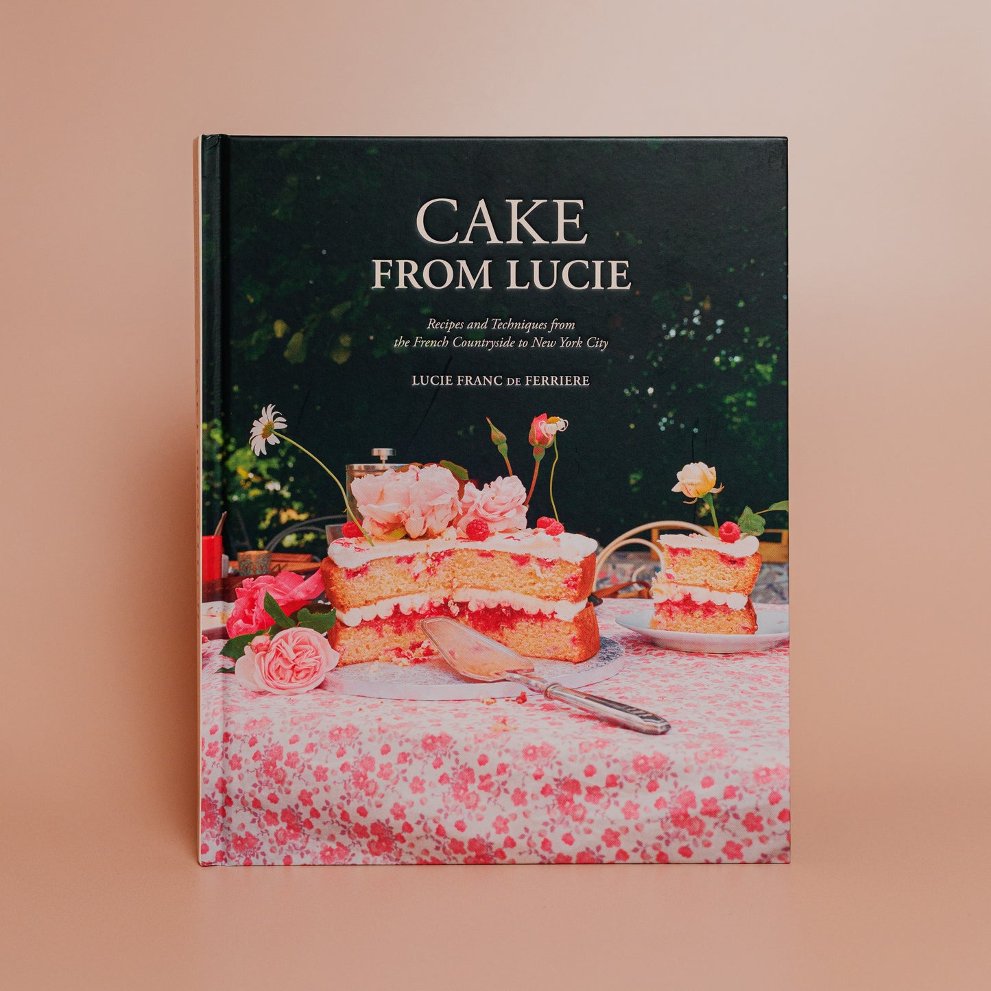 Cake From Lucie