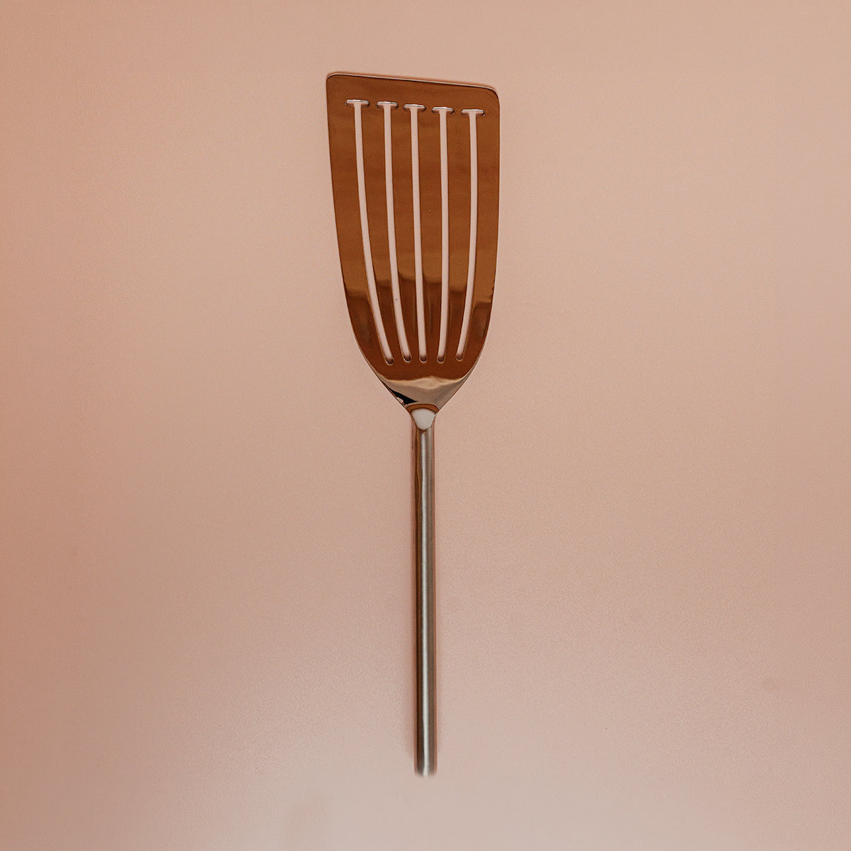 SIMPLE METAL FISH SPATULA