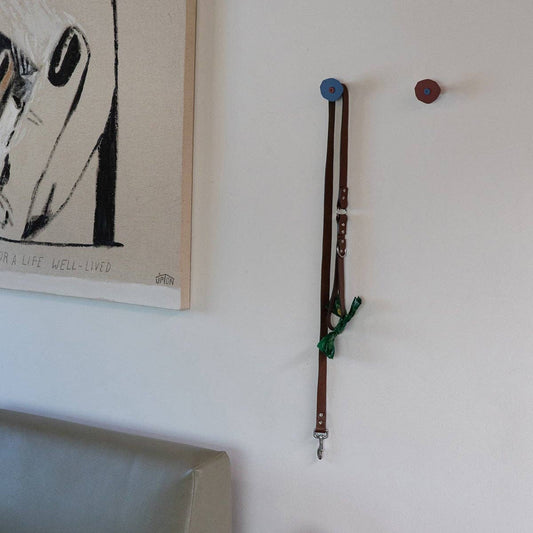 CORTE - Blue/Rose | Wall Hook