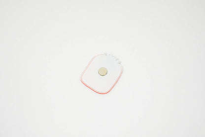 Tomato recycled acrylic fridge magnet