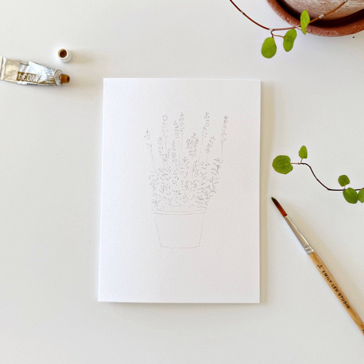 Plants Watercolor Notecards
