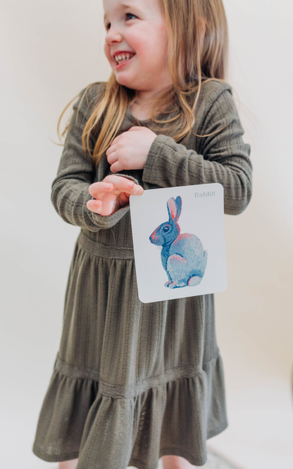 Animal Alphabet Flash Cards