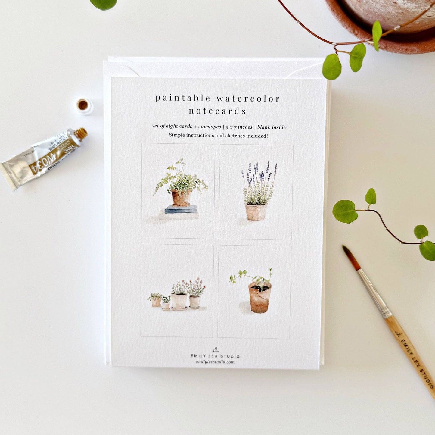 Plants Watercolor Notecards