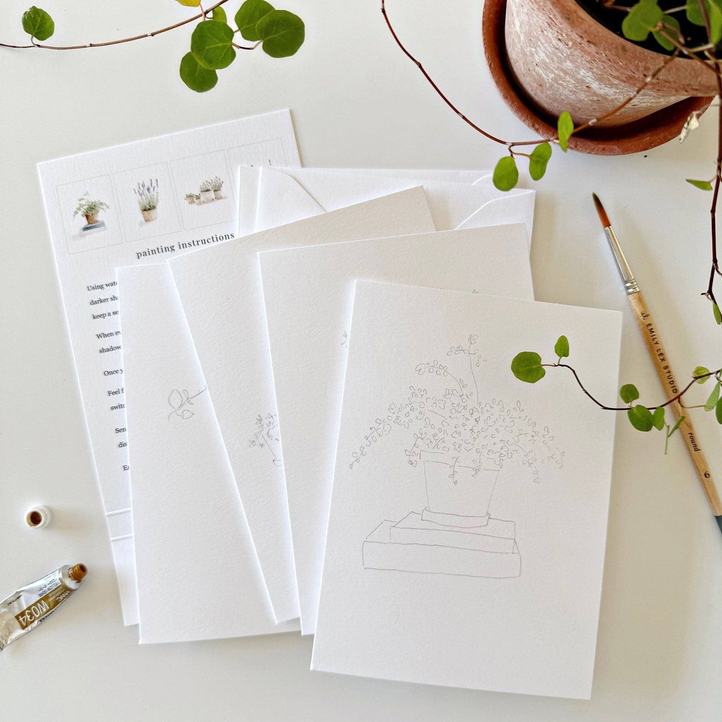 Plants Watercolor Notecards