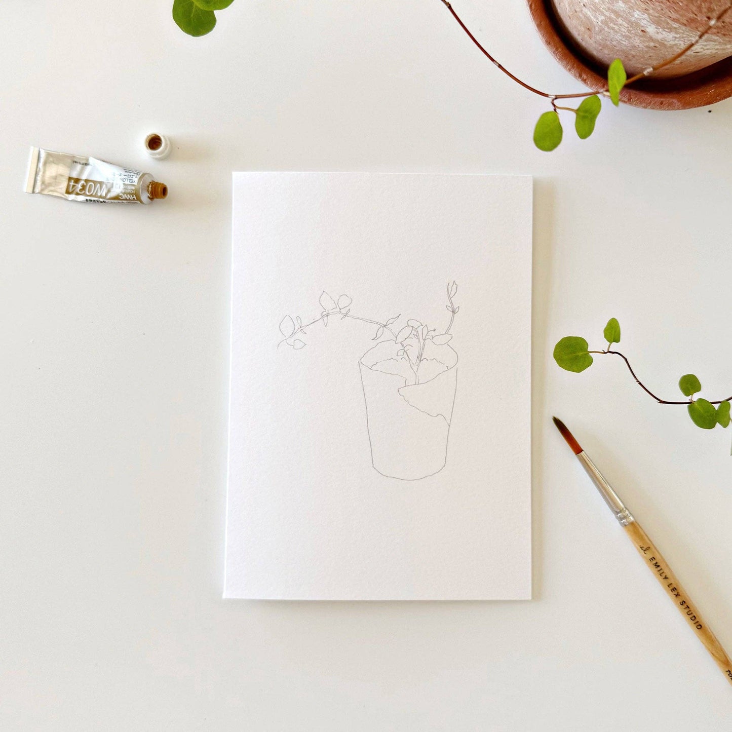 Plants Watercolor Notecards