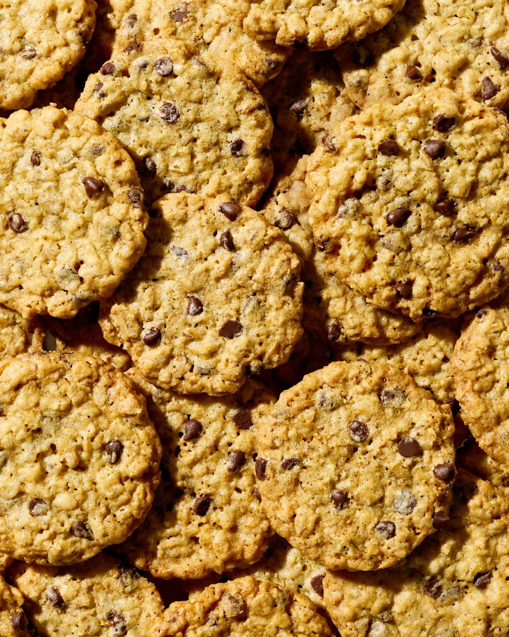 Thin & Crisp Oat Cookies, Dark Chocolate Chip