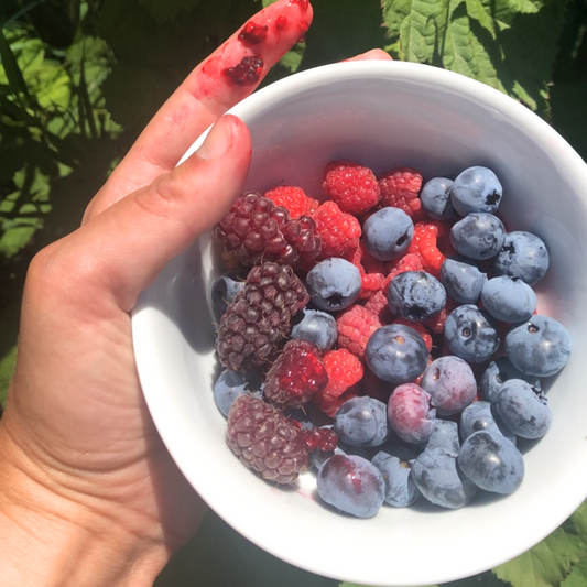 Pacific Northwest Berry Jam