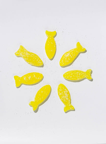 BonBon Sour Elderflower Fish
