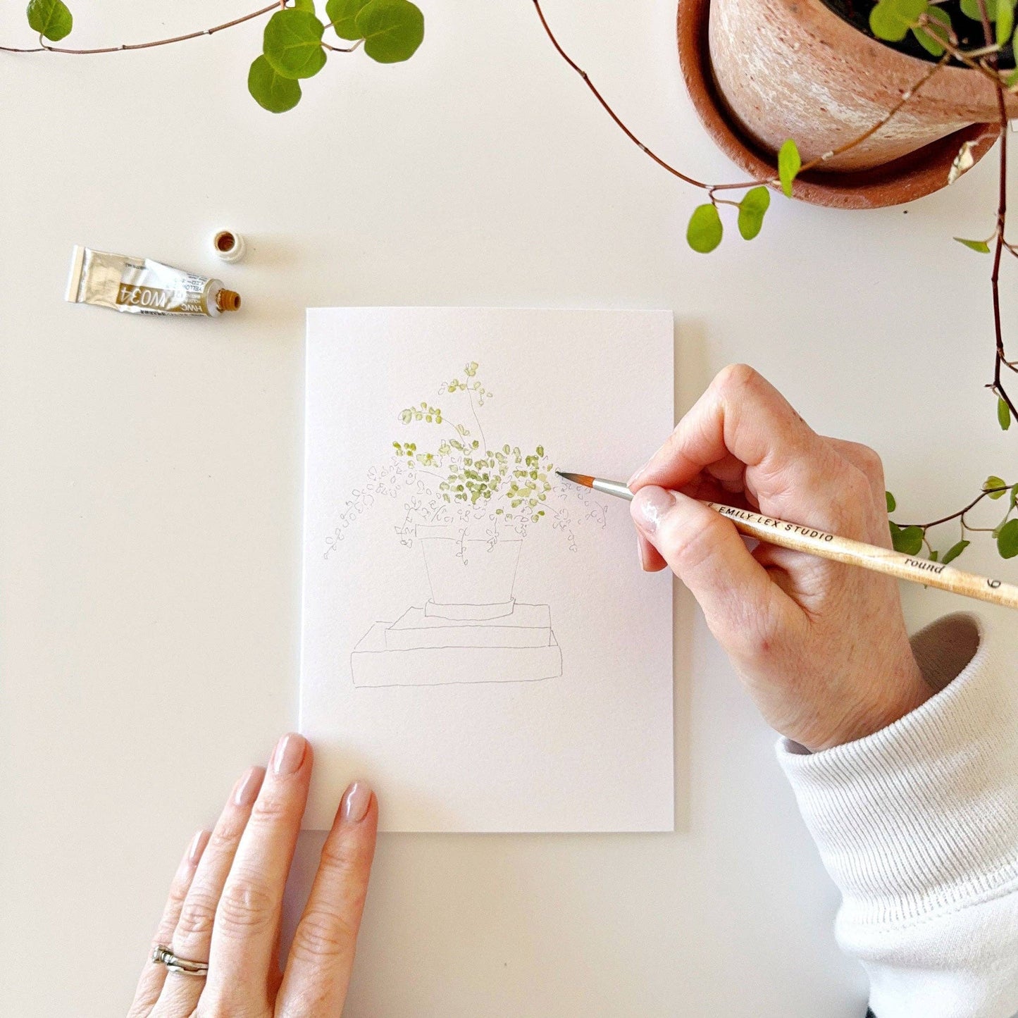 Plants Watercolor Notecards
