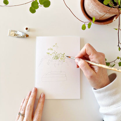 Plants Watercolor Notecards
