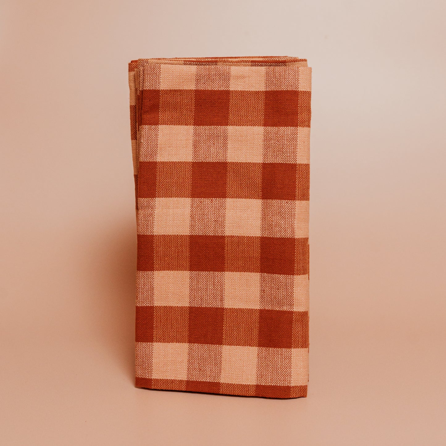 Gingham Dinner Napkins - S/4