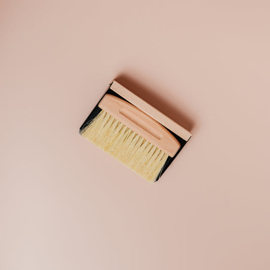 Mini Brush and Dustpan Set