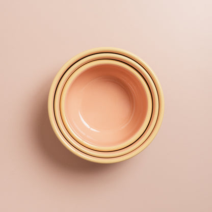 Enamel Bowls - S/3