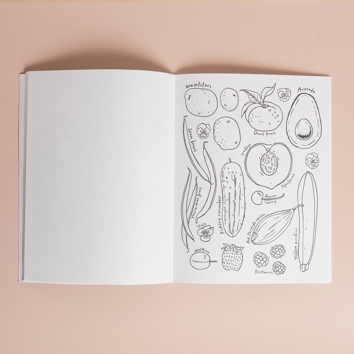 A Garden for All Seasons Coloring Book
