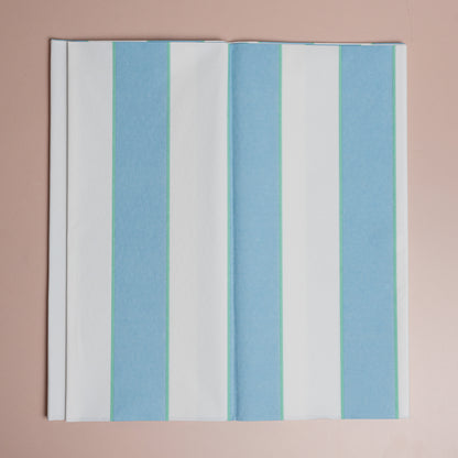 Pale Blue Striped Paper Tablecloth
