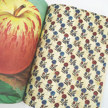 John Derian Wrapping Paper Book
