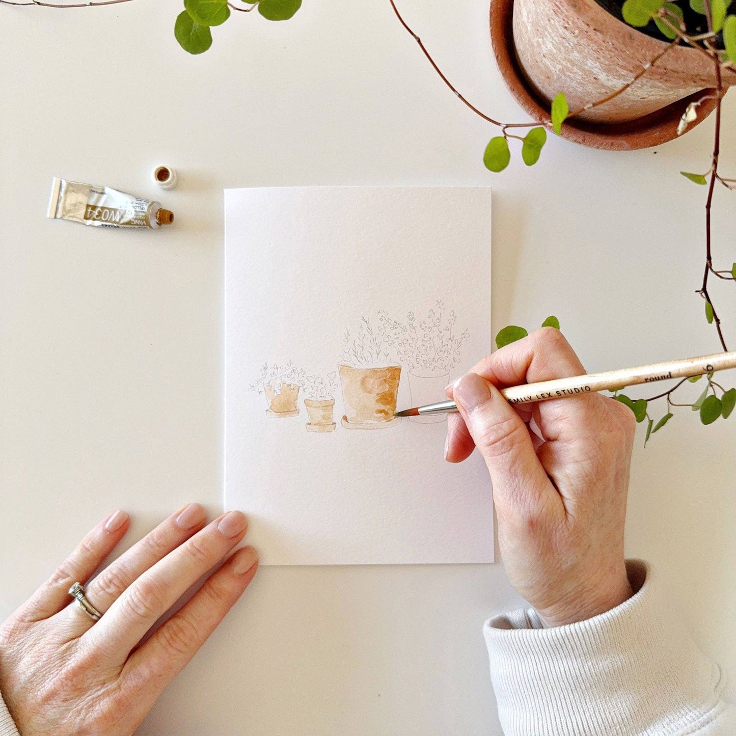 Plants Watercolor Notecards