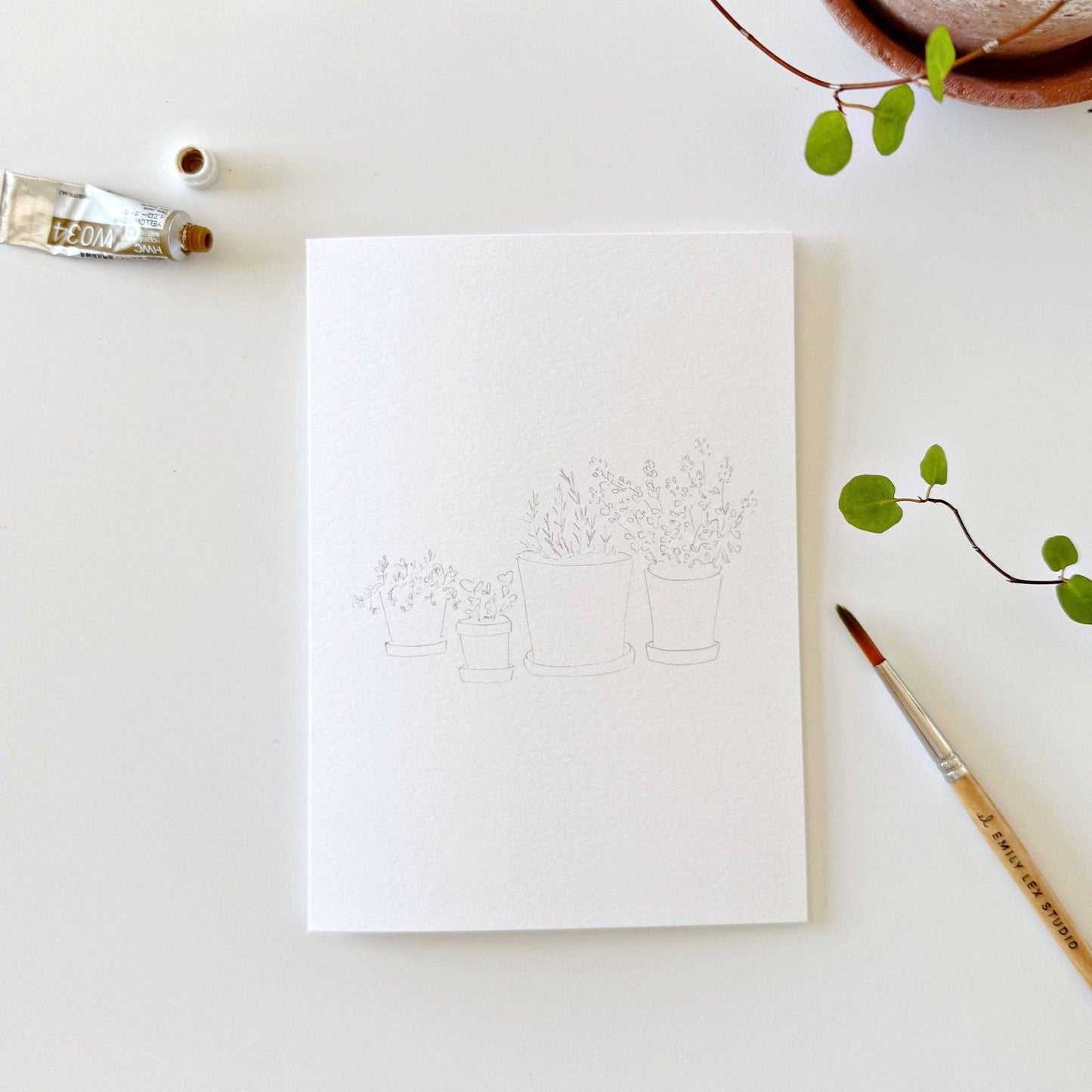Plants Watercolor Notecards