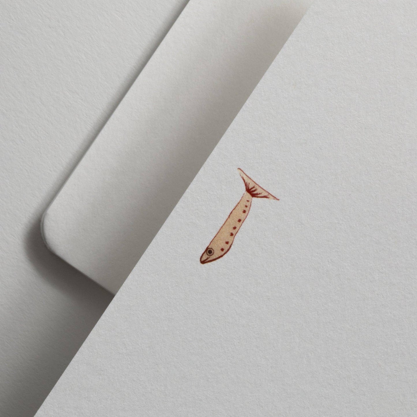 The Fish Notecard Set