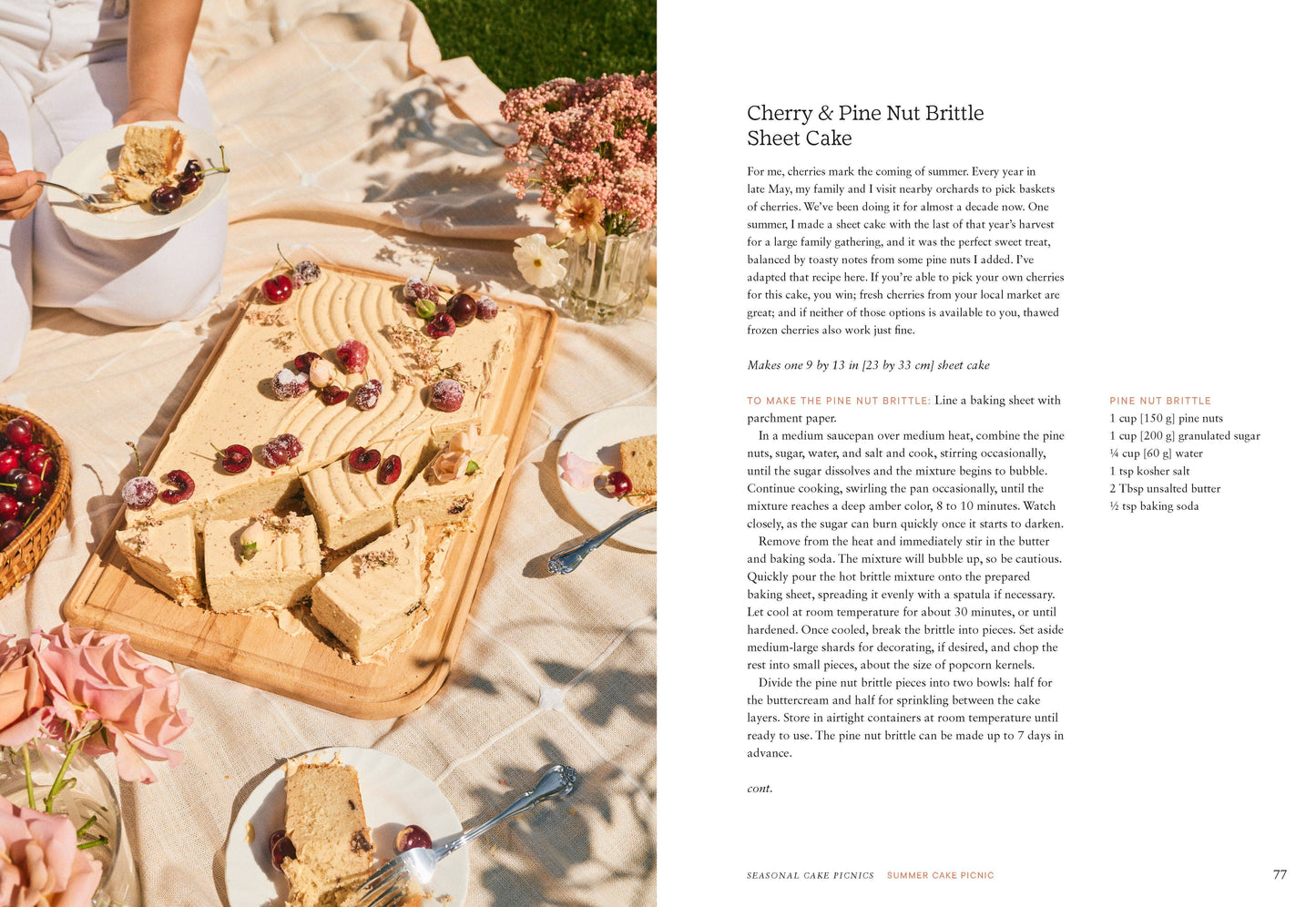 Cake Picnic