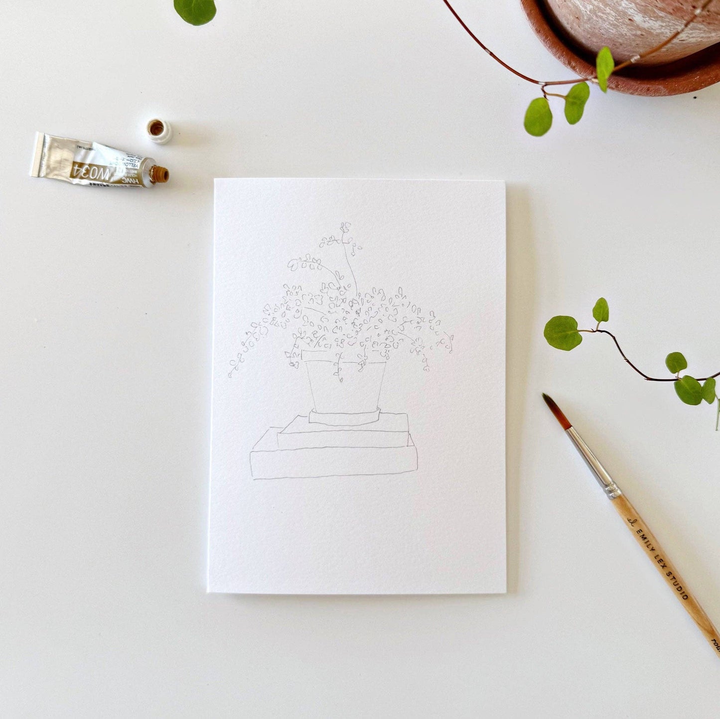 Plants Watercolor Notecards
