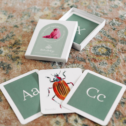 Animal Alphabet Flash Cards