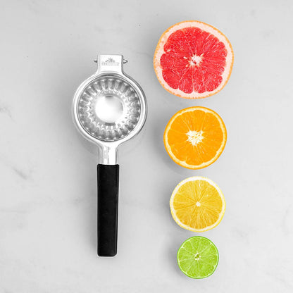 Stainless Steel Citrus Juicer